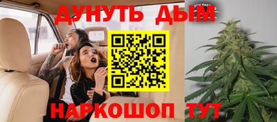 кокс Можга