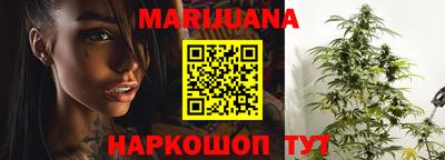 сатива Моздок