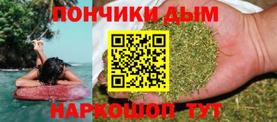 сатива Моздок
