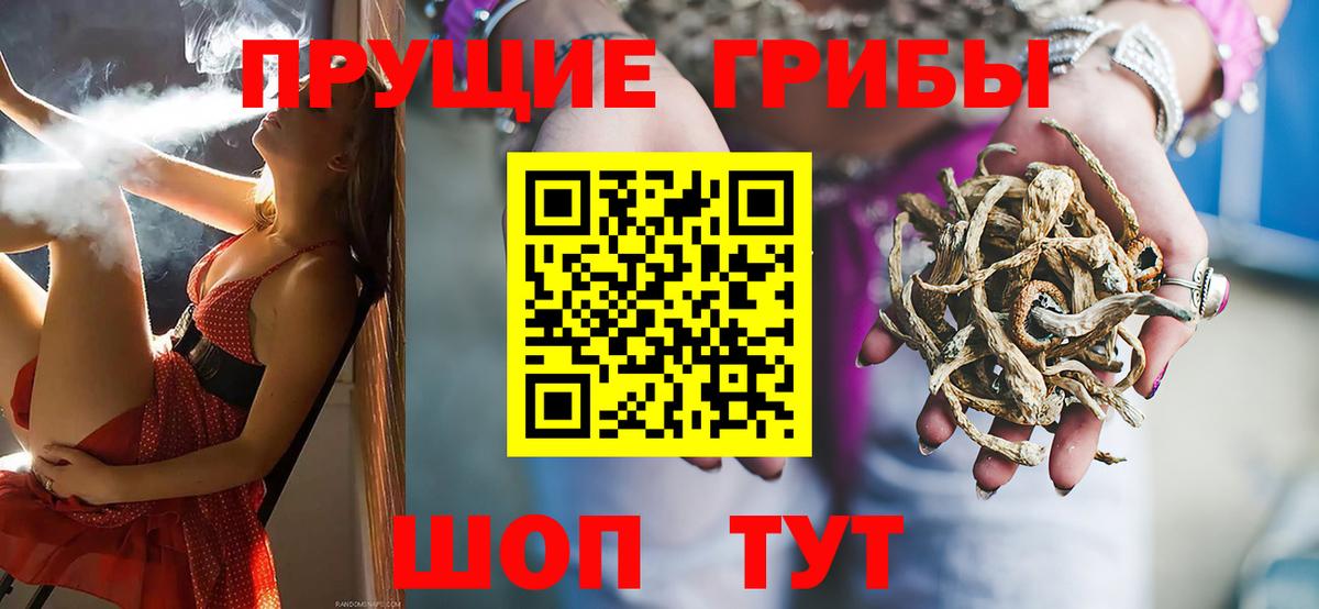 Фрязино  Галлюциногенные грибы Psilocybe  Вход с VPN 