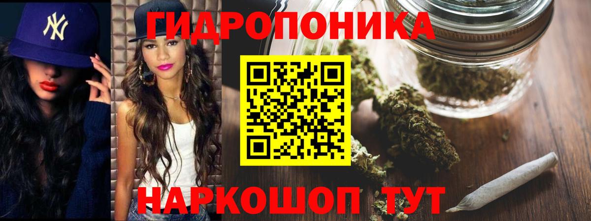 Канабис план  Вход с VPN  Каннабис White Widow  Бошки марихуана индика  Фрязино  Каннабис Bruce Banner 